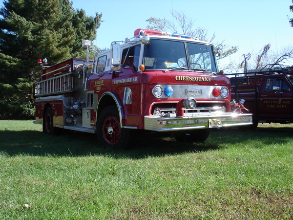 1184540582223 10651308