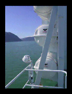 Tank jpg 10468573 Tank jpg 10468573