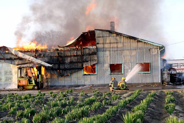 100305 54w jpg 10563322