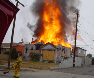 1184090920746 10459874