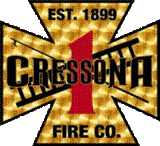 Cressona Decal Paint 10458274