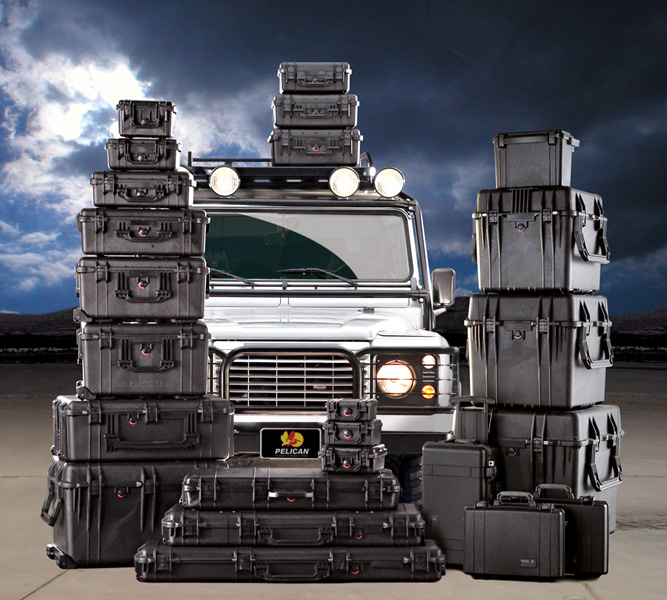 Pelicanfamily600 10182162