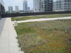 Figure 2: Metropolitan fire departments may have already encountered green roofs as many high-rise buildings have this type of roof. Figure 2: Metropolitan fire departments may have already encountered green roofs as many high-rise buildings have this type of roof.