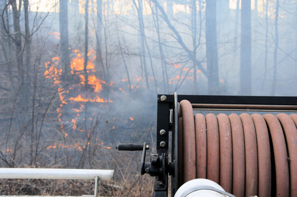 Va Brush7 jpg 10554536