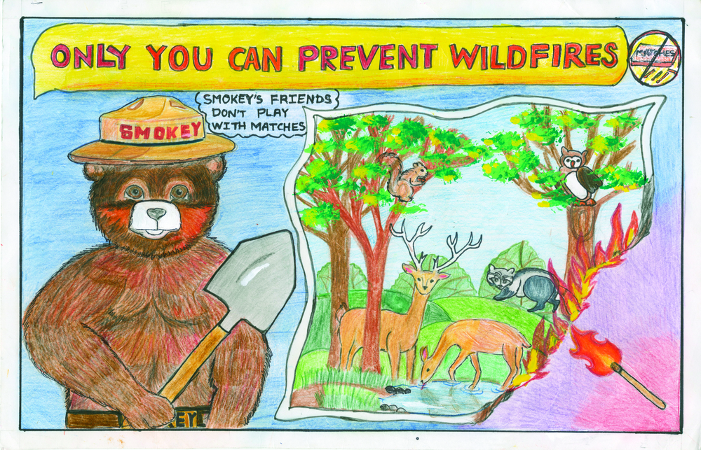 Award-winning drawing