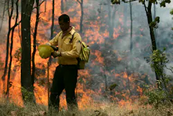 Mexicowildfire 10705239 Mexicowildfire 10705239
