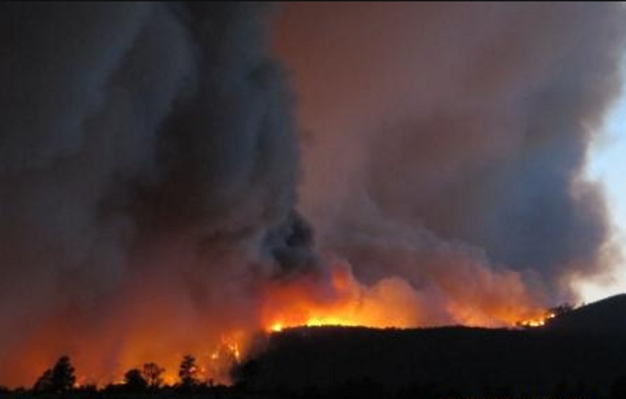 The Las Conchas wildfire burned 156,593 acres, destroyed 63 homes and forces the evacuation of Los Alamos last summer.