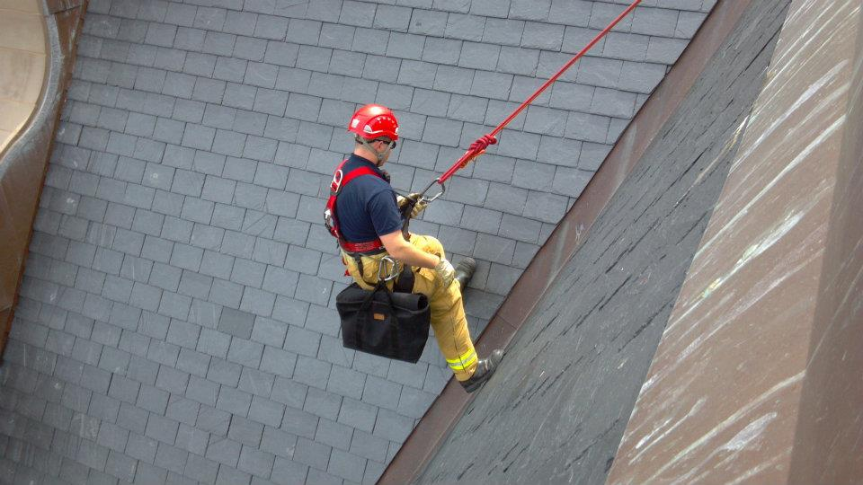 Milwaukeegullrescue 10709173