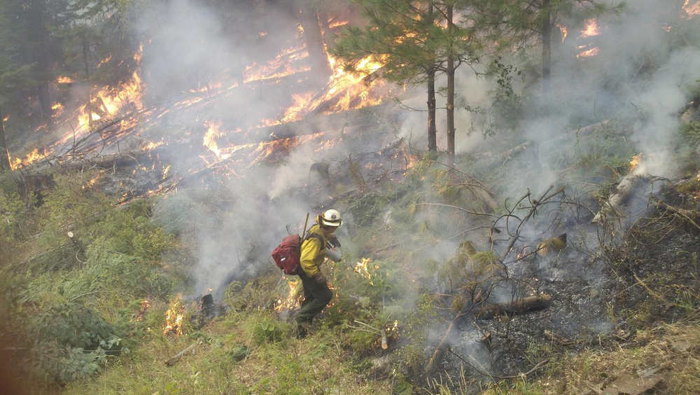 A firefighter is seen lighting a back burn at the Sheep Fire in the Nez Perce National Forest on Sept. 16.