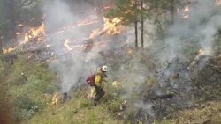 A firefighter is seen lighting a back burn at the Sheep Fire in the Nez Perce National Forest on Sept. 16. A firefighter is seen lighting a back burn at the Sheep Fire in the Nez Perce National Forest on Sept. 16.