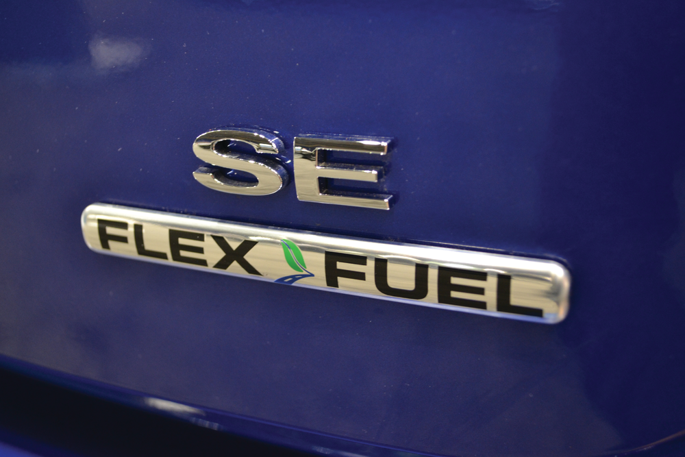 Extrication 3 13 Dsc 0059 10856359