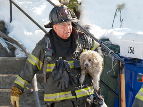 Roberts Street 4 10880594