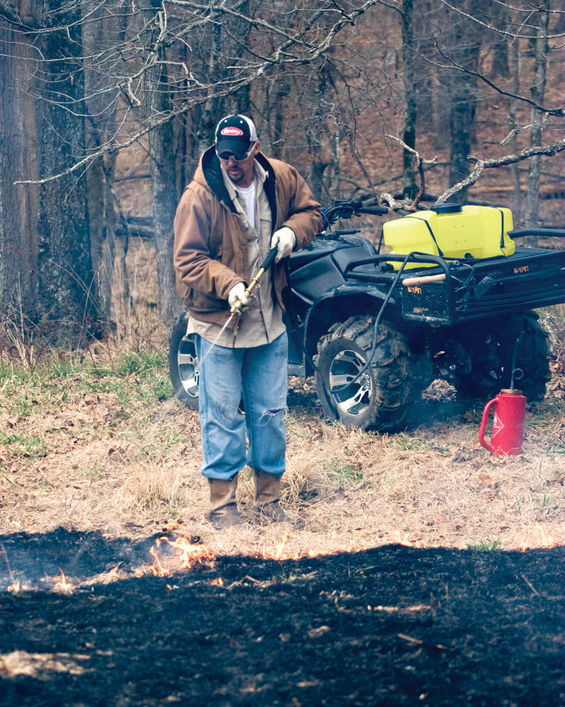 7440 85160 A4 10911431