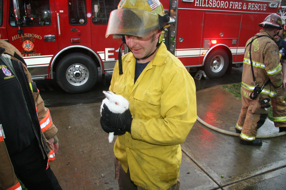 Hillsboro Fire 1 10889599