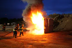 Tetrako In Action 10926949 Tetrako In Action 10926949