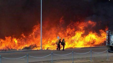 Pryme Cc Release Fire Pic 11222998