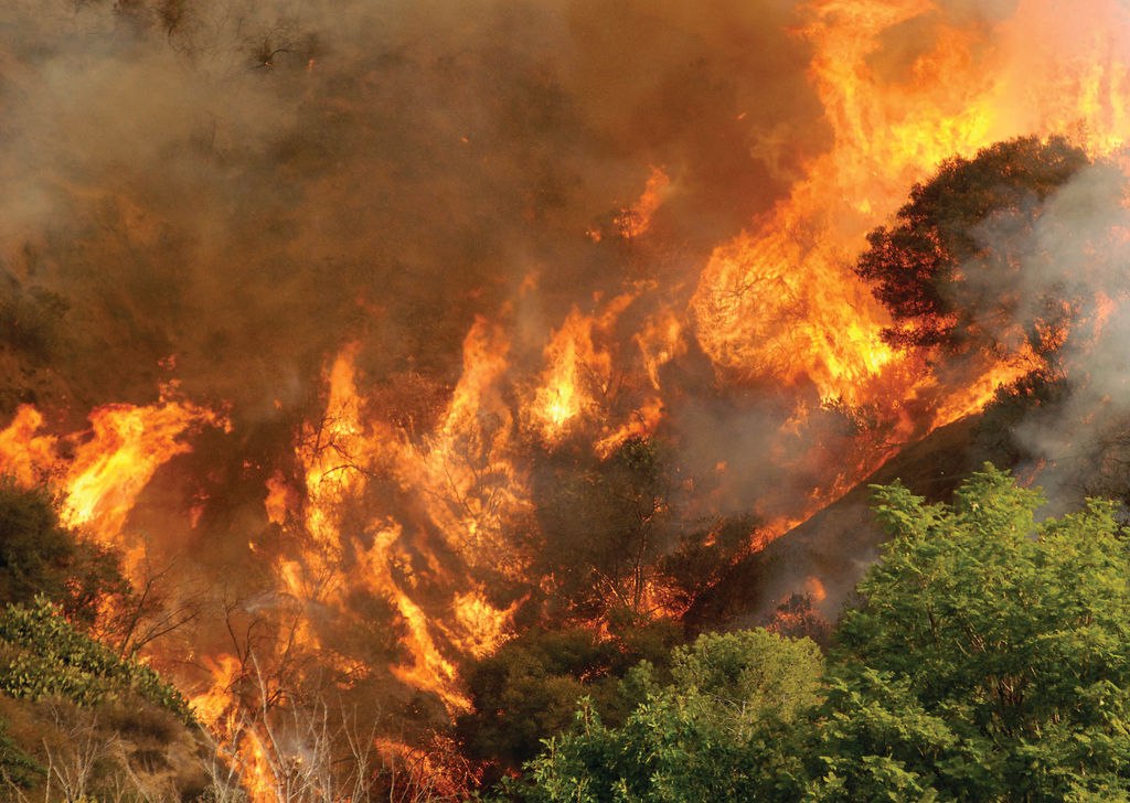 An illegal campfire sarted by three young men at the start of Colby Trail in the Angeles National Forest was blamed for starting the Colby Fire, which eventually burned 2,000 acres of brush.