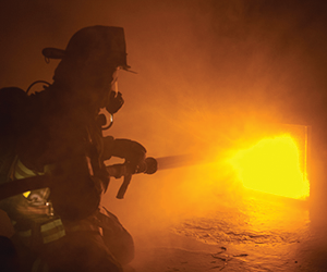 Bullex Attack System 11466407