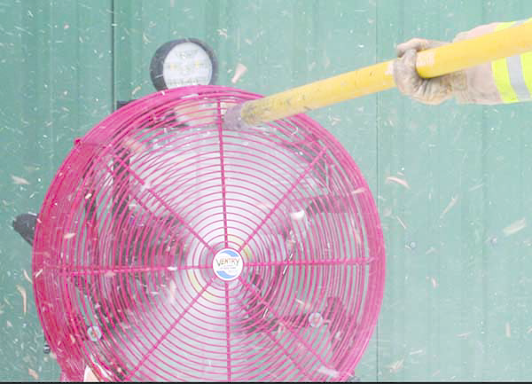 Ventry Photo 11526671