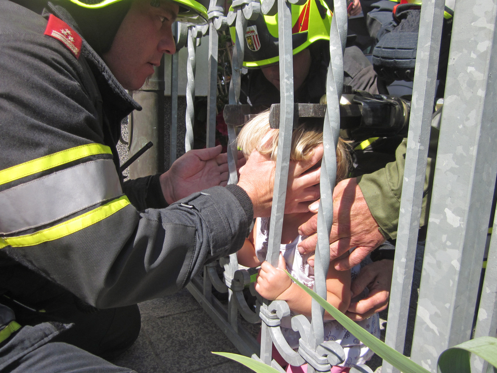 Fence Rescue 2 11571464