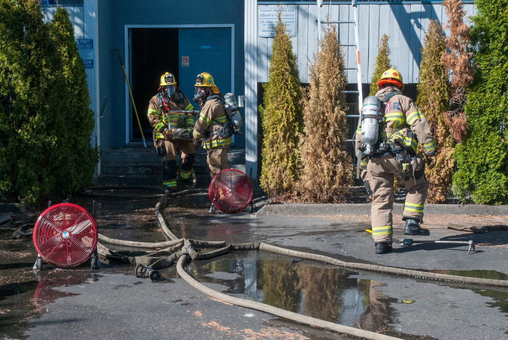 Firefighters remove pets from the fire scene in Beaverton.