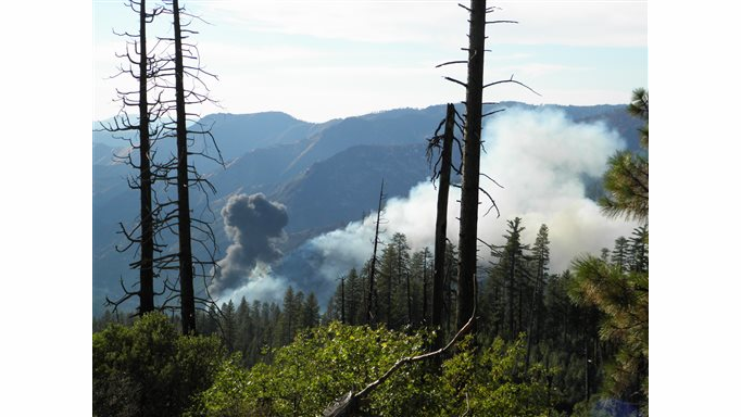 Smoke rises from a plane that crashed Tuesday.
