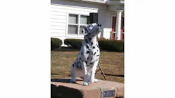 Ash will always have a place in Pleasant Valley, Ohio. Ash will always have a place in Pleasant Valley, Ohio.