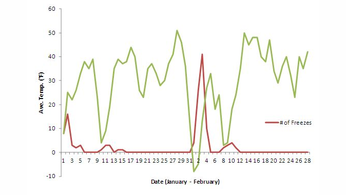 Figure 1. Average temperature, number of pipe freezes, 1/1 &ndash; 2/28/2011.