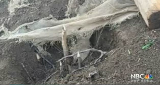 San Jose 54b6a04334e29