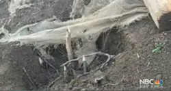 San Jose 54b6a04334e29 San Jose 54b6a04334e29