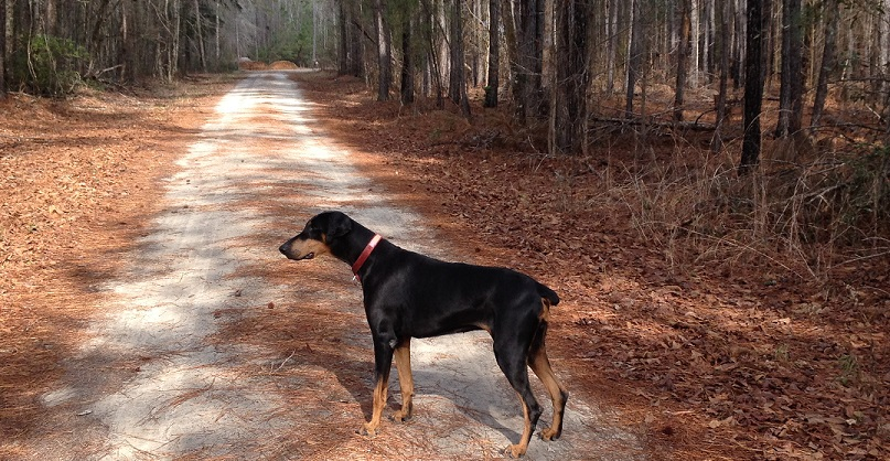 Roxanne at 11 5512badb7f6ff