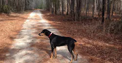 Roxanne At 11 5512badb7f6ff Roxanne At 11 5512badb7f6ff