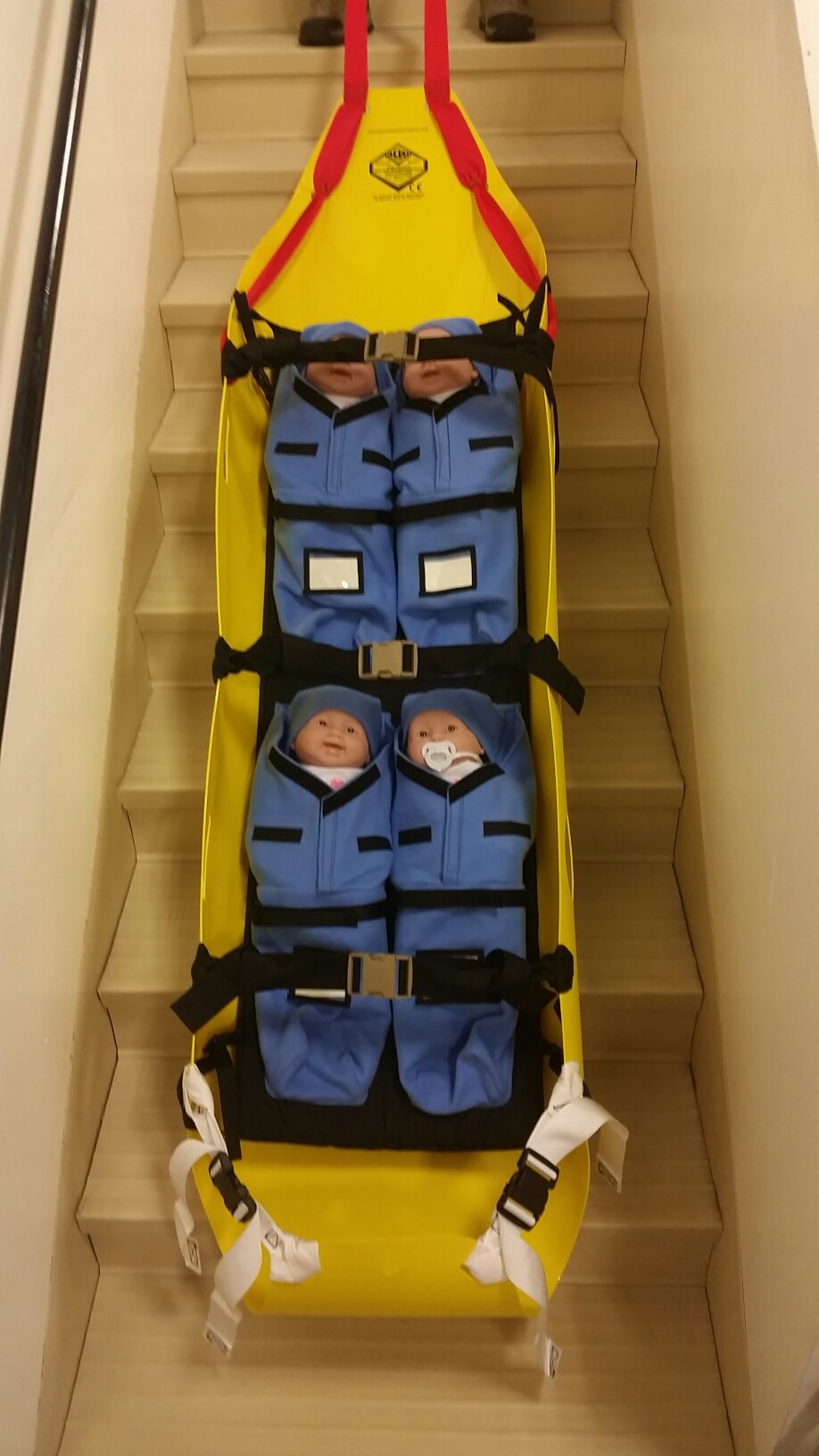 Kiddie Litter 55e70ef170641