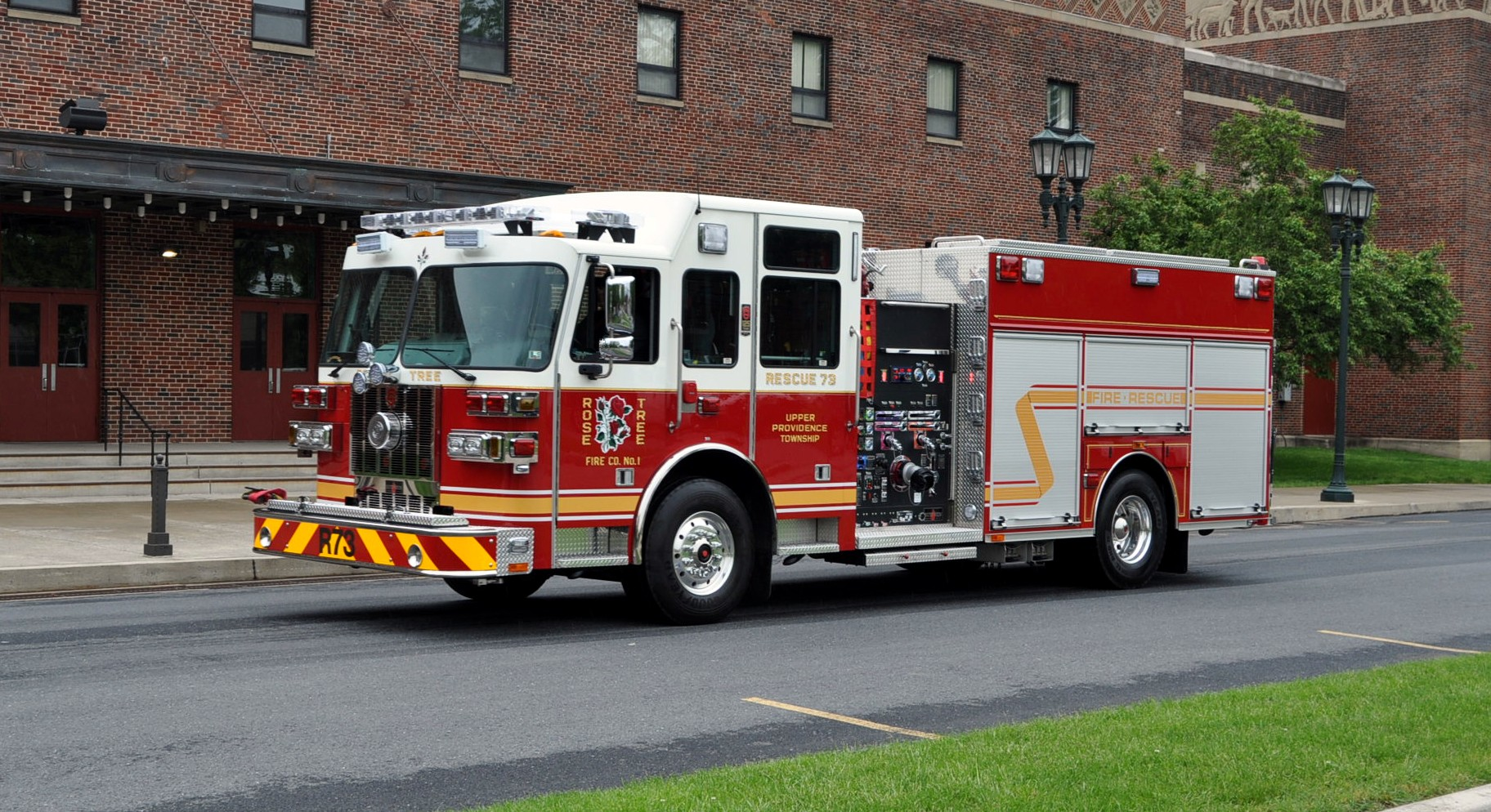 Rose Tree Sutphen 5761537aea44f