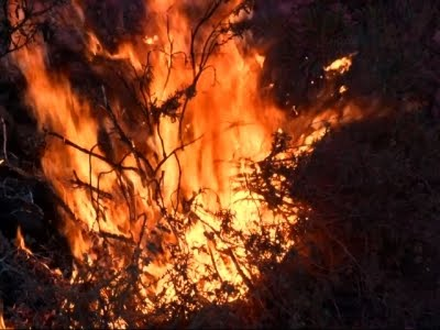 Default 57b732573e47a