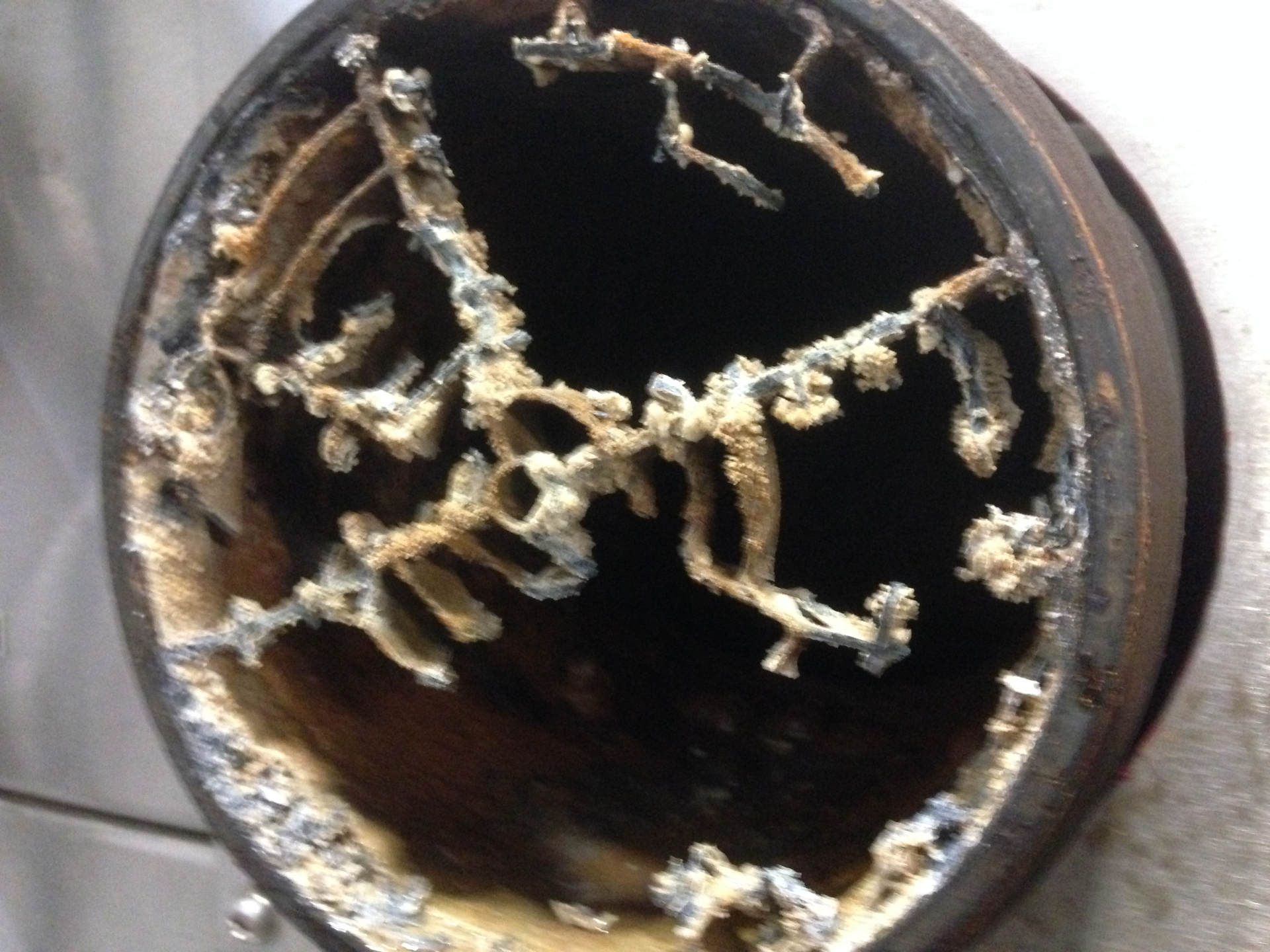 This steamer screen is almost non-existent due to the pump net being flushed regularly.