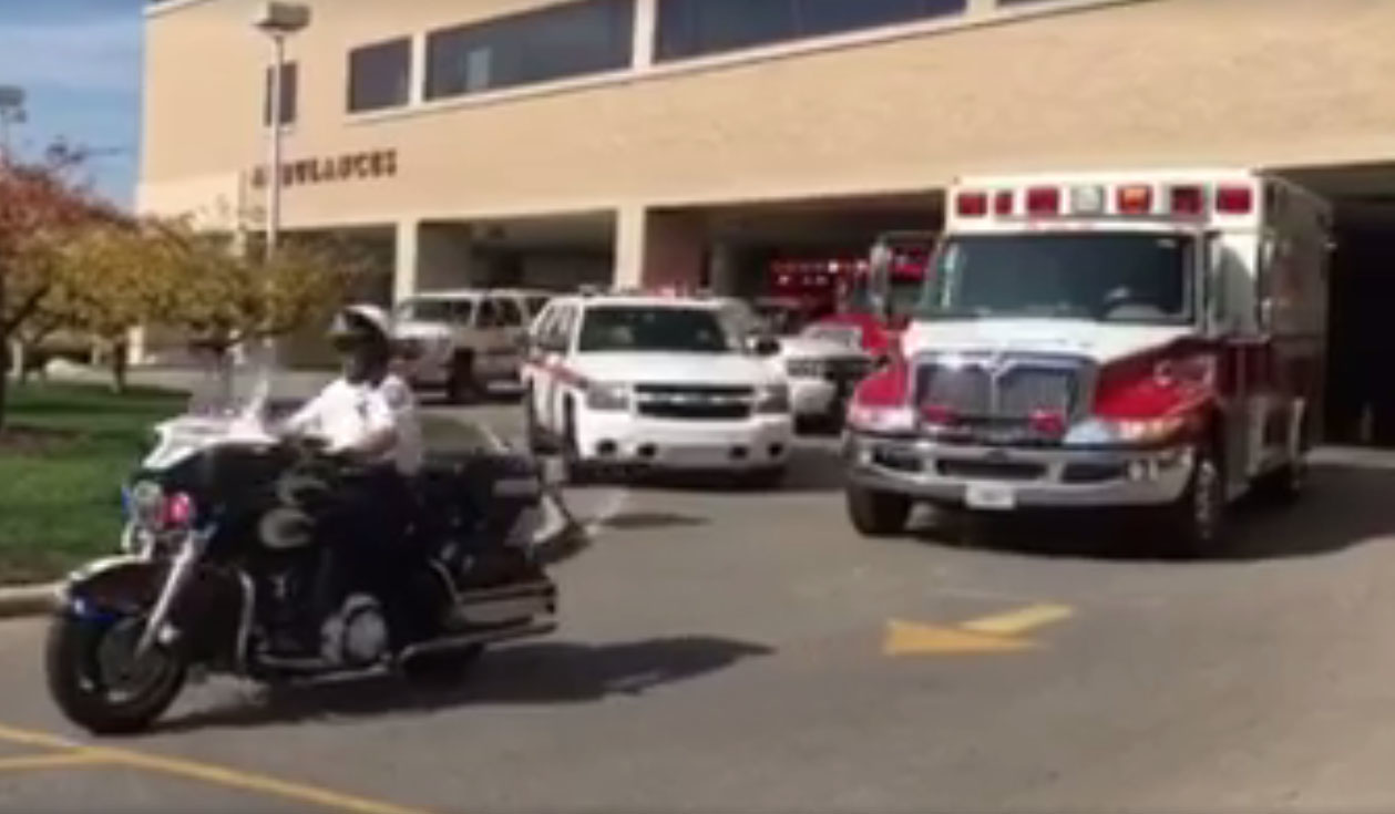 Lodd Video 581a4ce10f32f