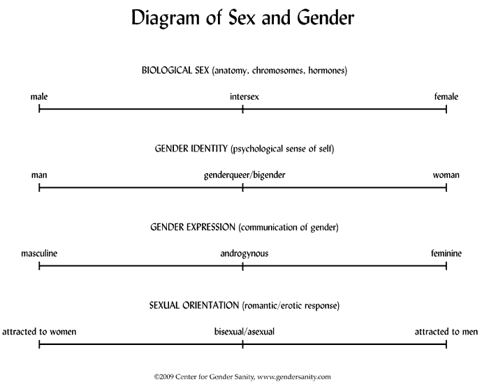 This matrix illustrates the differences among biological sex, gender identity, gender expression and sexual orientation. More can be found at http://gendersanity.com/diagram.html.