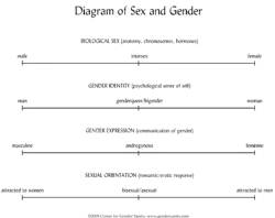 This matrix illustrates the differences among biological sex, gender identity, gender expression and sexual orientation. More can be found at http://gendersanity.com/diagram.html. This matrix illustrates the differences among biological sex, gender identity, gender expression and sexual orientation. More can be found at http://gendersanity.com/diagram.html.