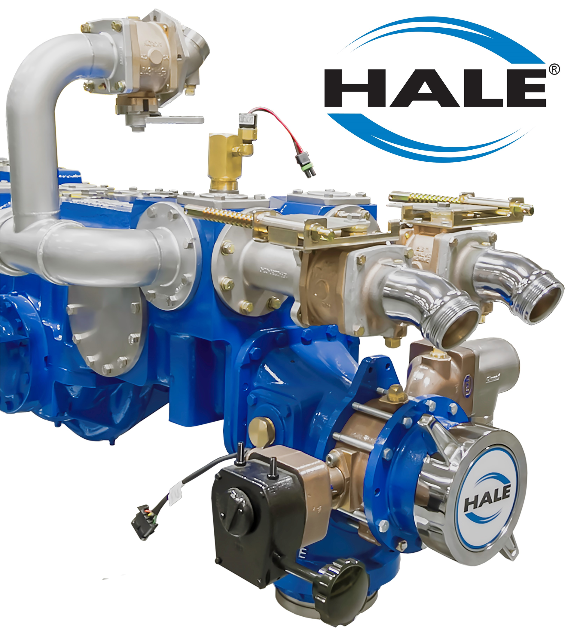 Hale 592de1255eb09