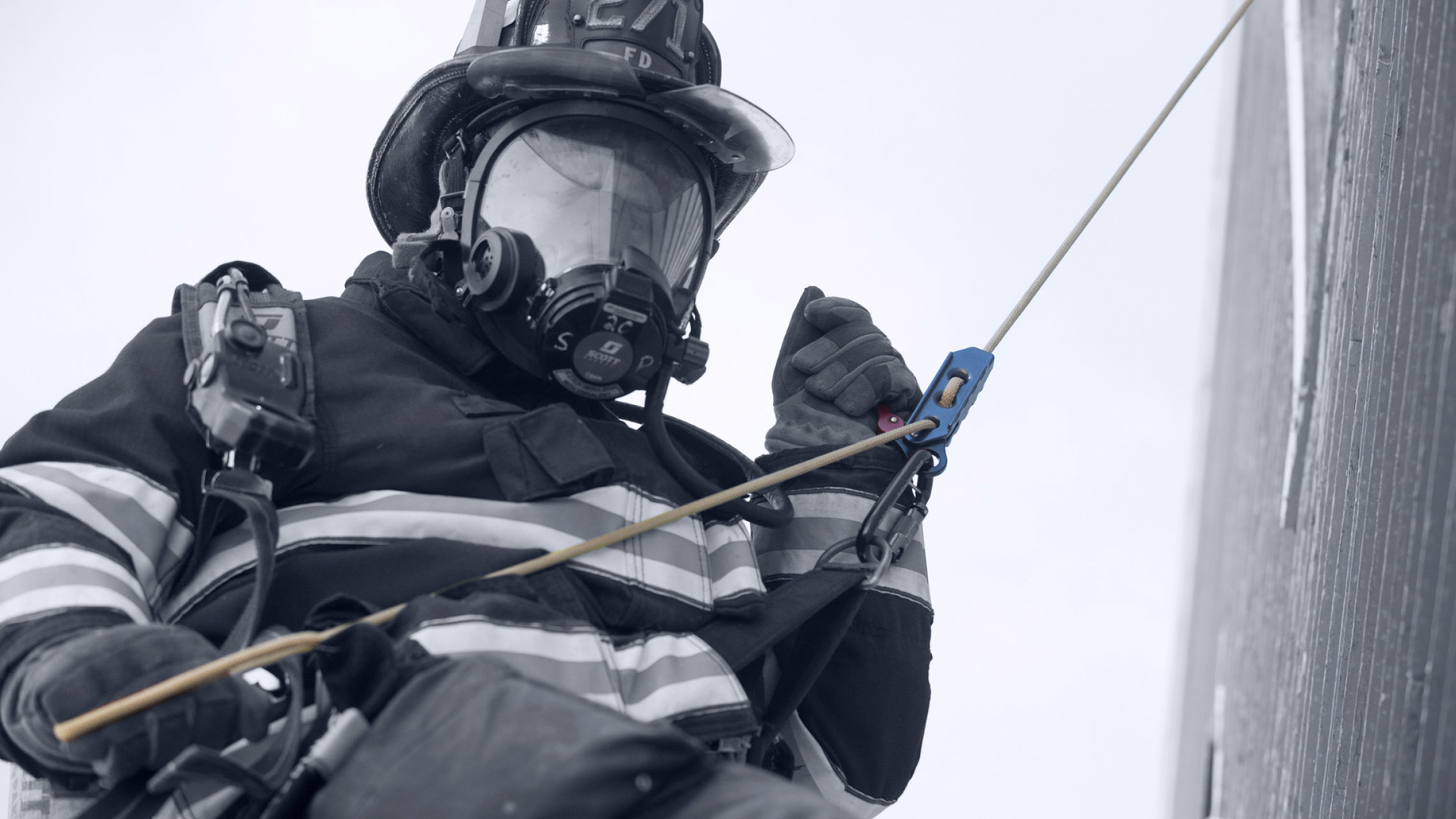 bh joeyd 599c4a8c7d3ed