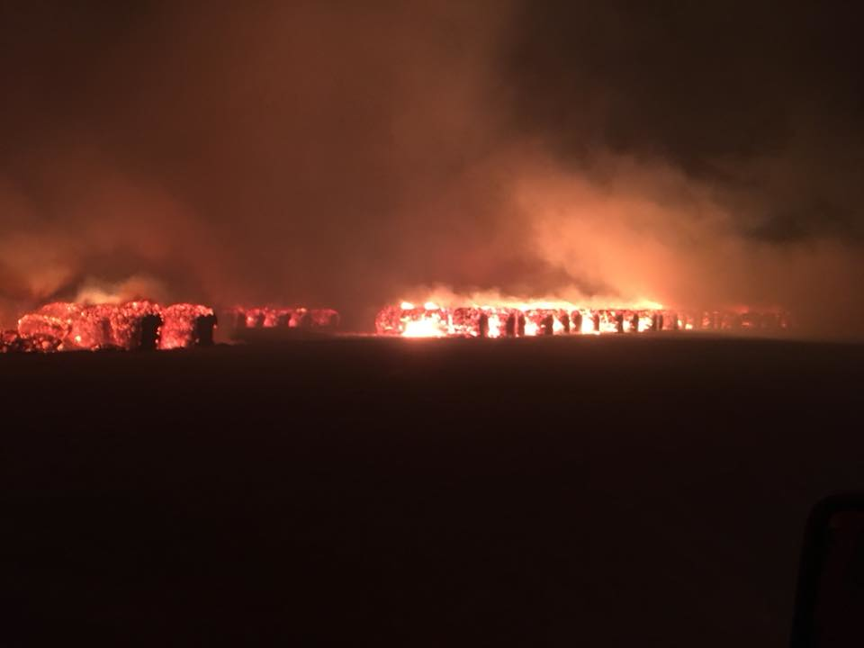 Sweetwater Cotton Fire 59f47c9799978