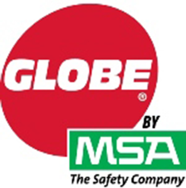 Globe logo 5a0251c93d2cd