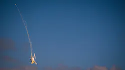 Active mitigation technologies/strategies include net-shooting devices. Active mitigation technologies/strategies include net-shooting devices.