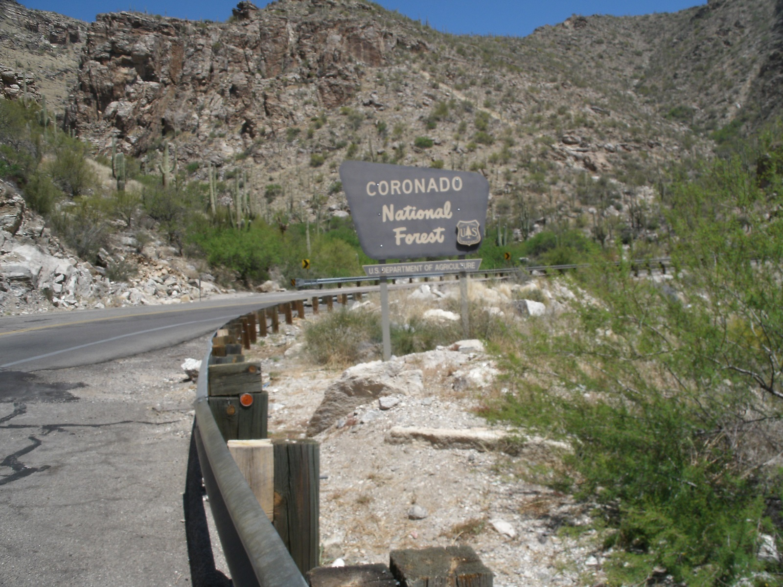 Coronado 5a2e99b324354