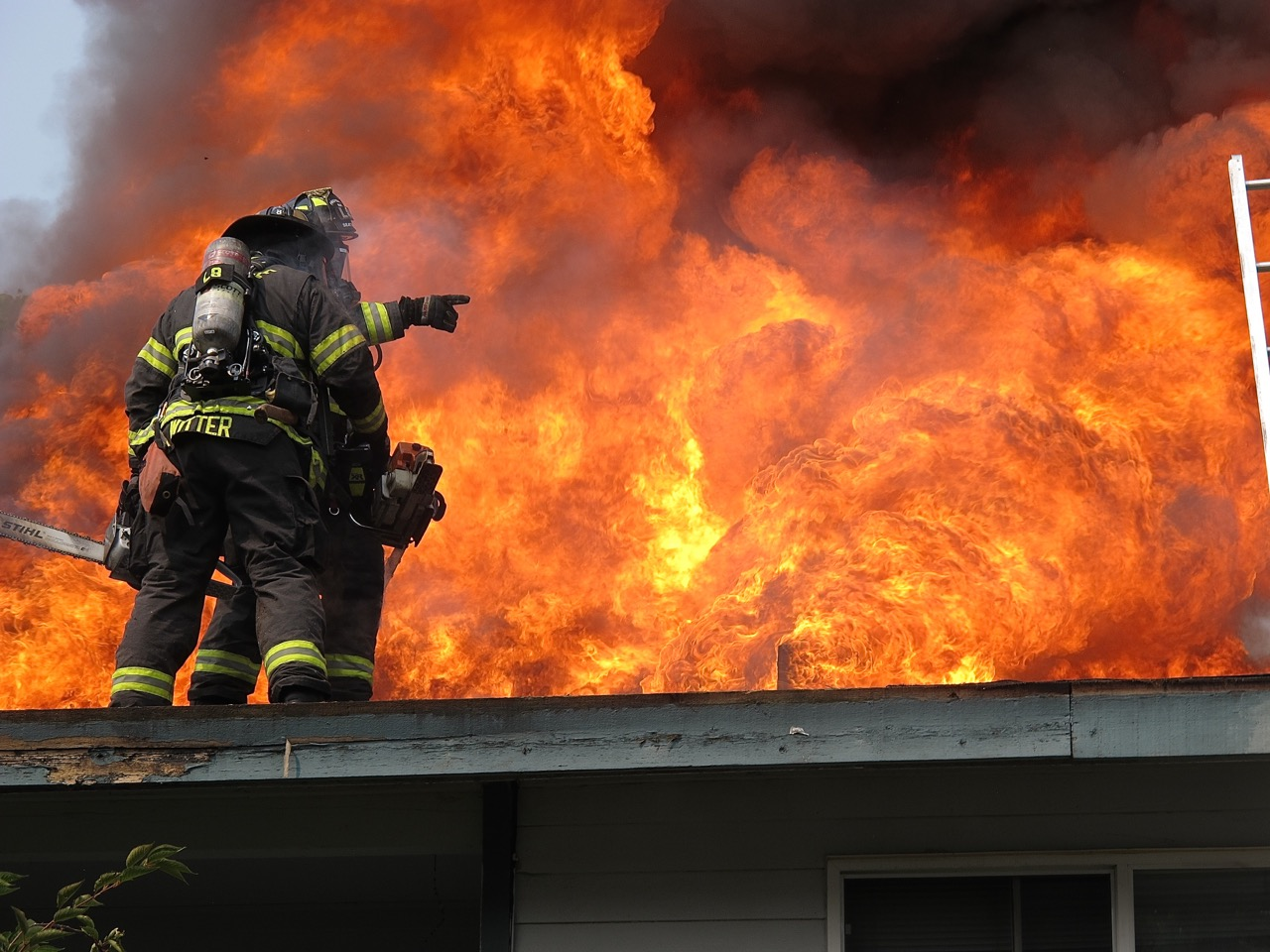 Img 6298 5aa30013debe5