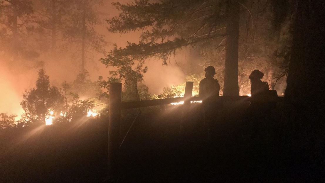 Firefighters look on during night operations against the 416 fire burning near Durango, CO, on June 9, 2018.