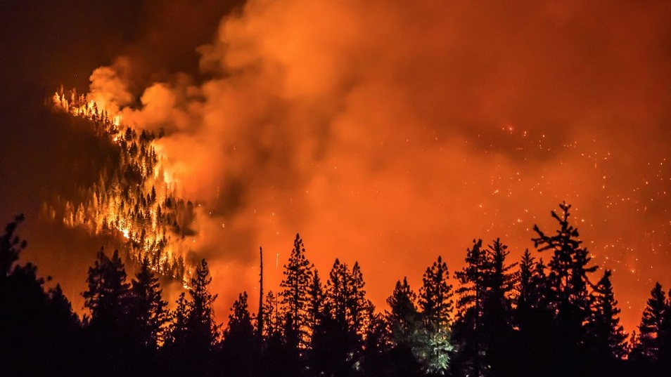 The Delta Fire burning near the Shasta-Trinity National Forest north of Redding, CA, on Sunday, Sept. 9, 2018.