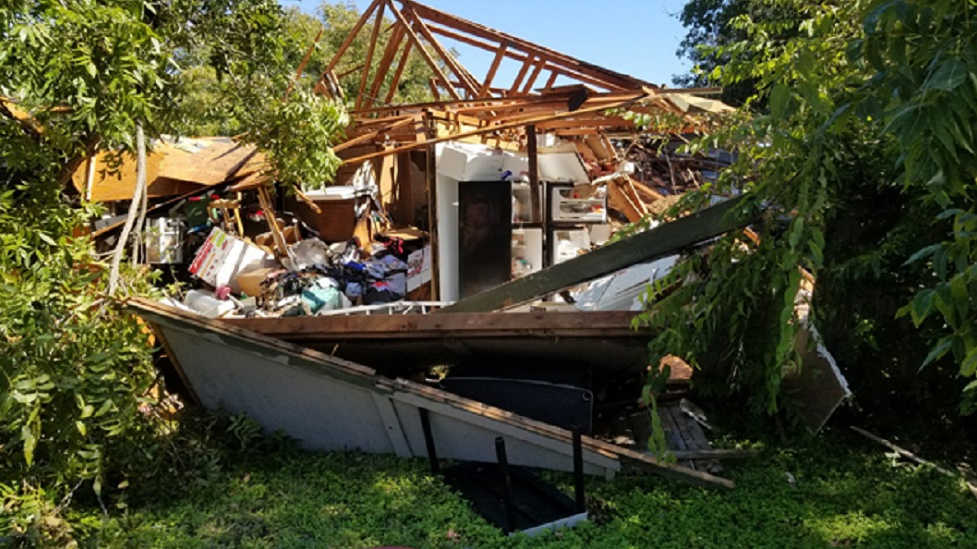 Austin5 5bd5cdfba4aab