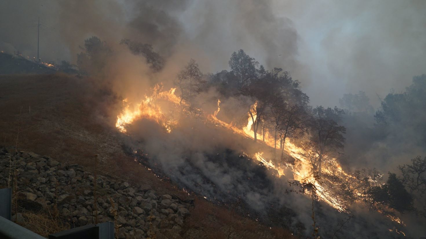 The Camp Fire in Butte County, CA, grew to over 20,000 acres in less than a day.